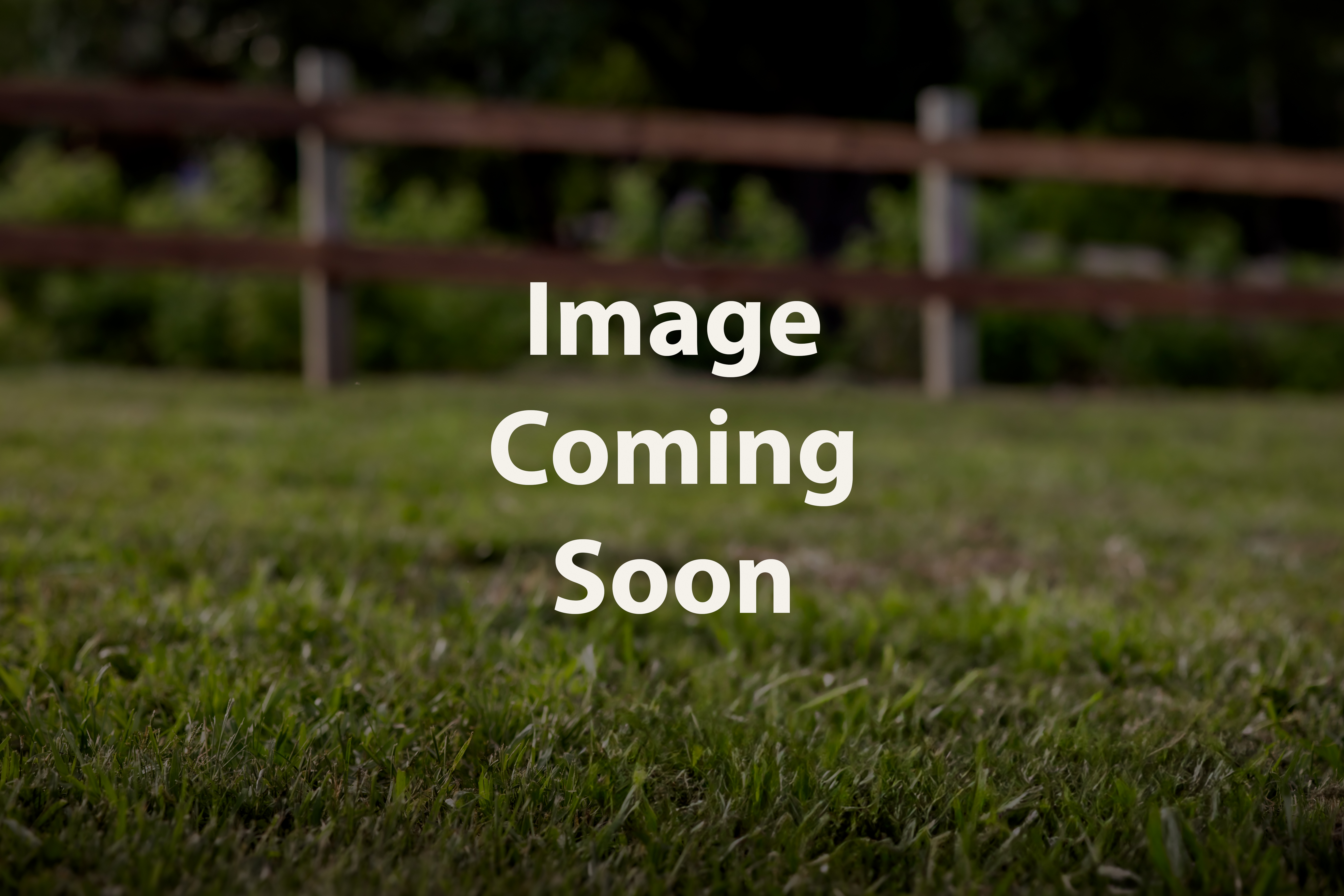 Cavapoo