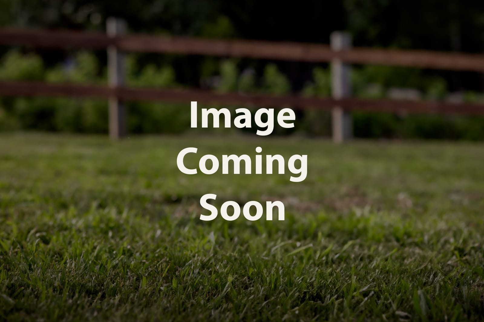 Cavapoo
